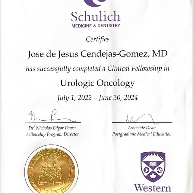 Ampliar imagen: certificate 3