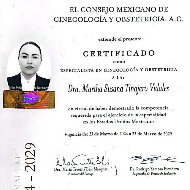 Ampliar imagen: certificate 1