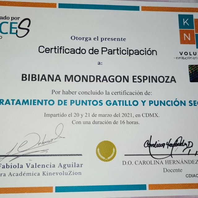 Ampliar imagen: certificate 1