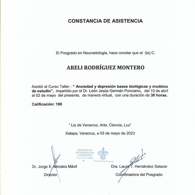 Ampliar imagen: certificate 4