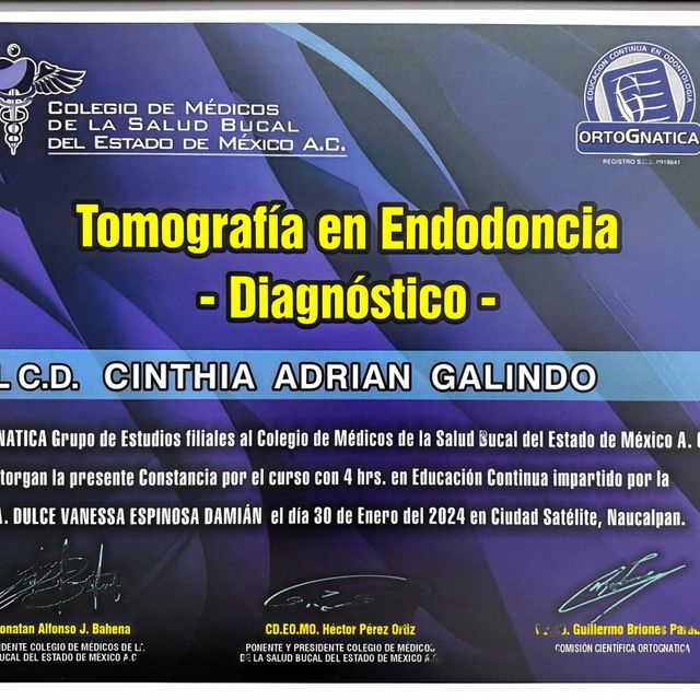 Ampliar imagen: certificate 2