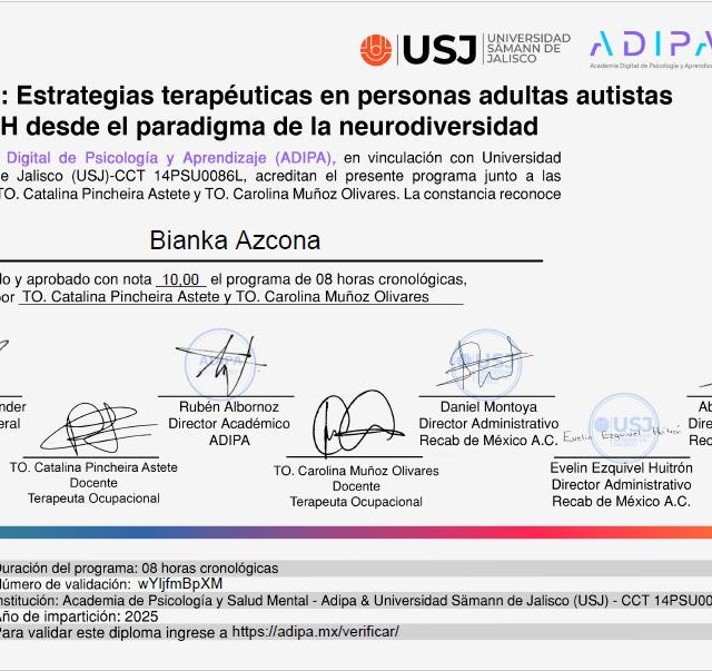 Ampliar imagen: certificate 4