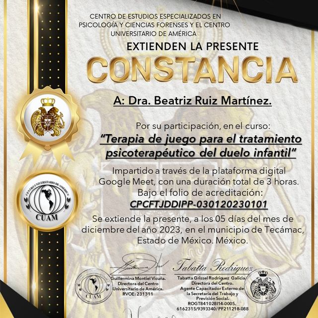 Ampliar imagen: certificate 2