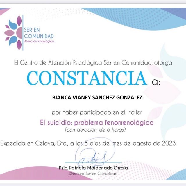 Ampliar imagen: certificate 7