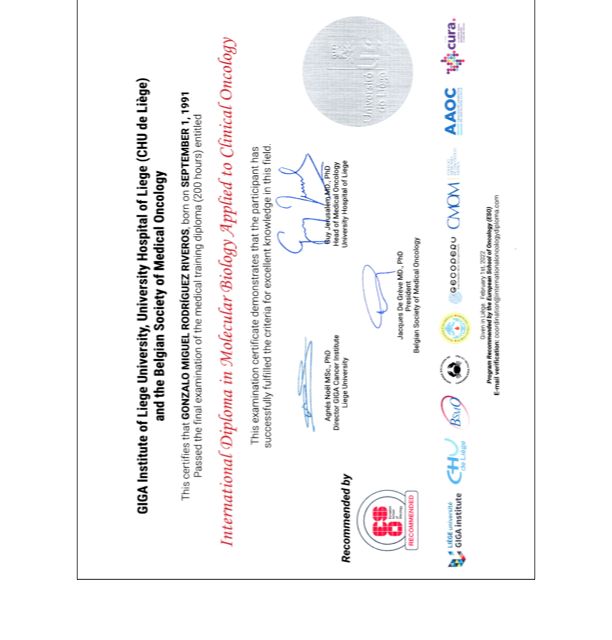 Ampliar imagen: certificate 6
