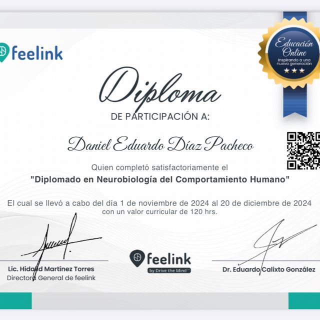 Ampliar imagen: certificate 6