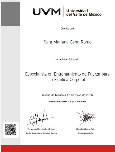 Ampliar imagen: certificate 1