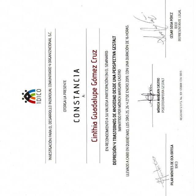 Ampliar imagen: certificate 2