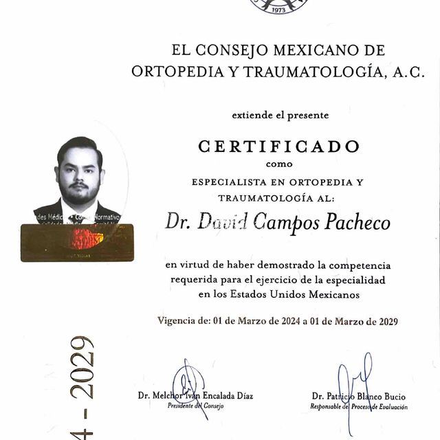 Ampliar imagen: certificate 3