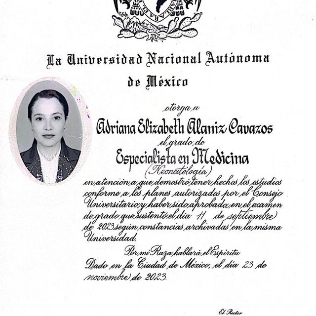 Ampliar imagen: certificate 2