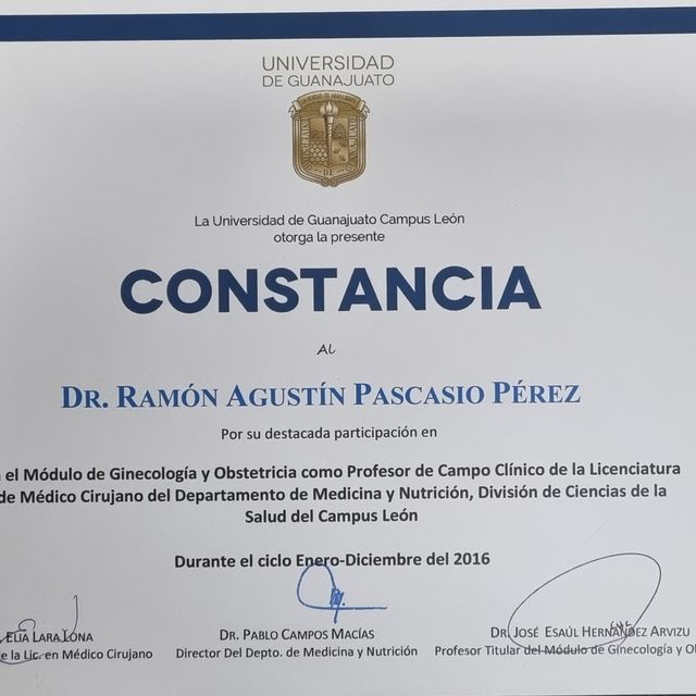 Ampliar imagen: certificate 26