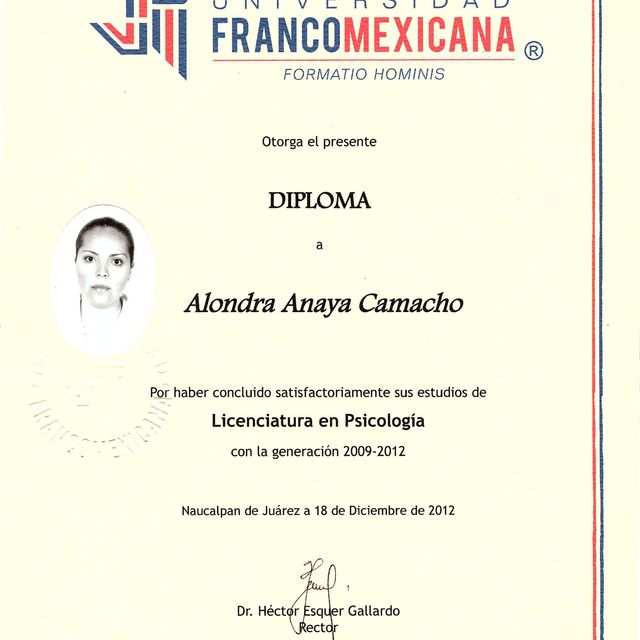 Ampliar imagen: certificate 1