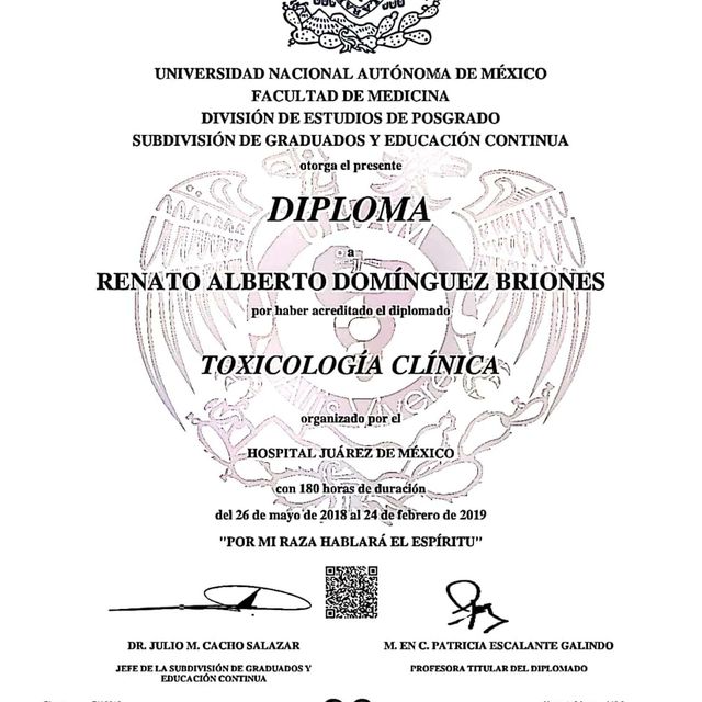 Ampliar imagen: certificate 12