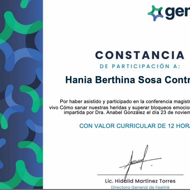 Ampliar imagen: certificate 1