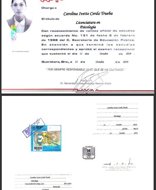 Ampliar imagen: certificate 2