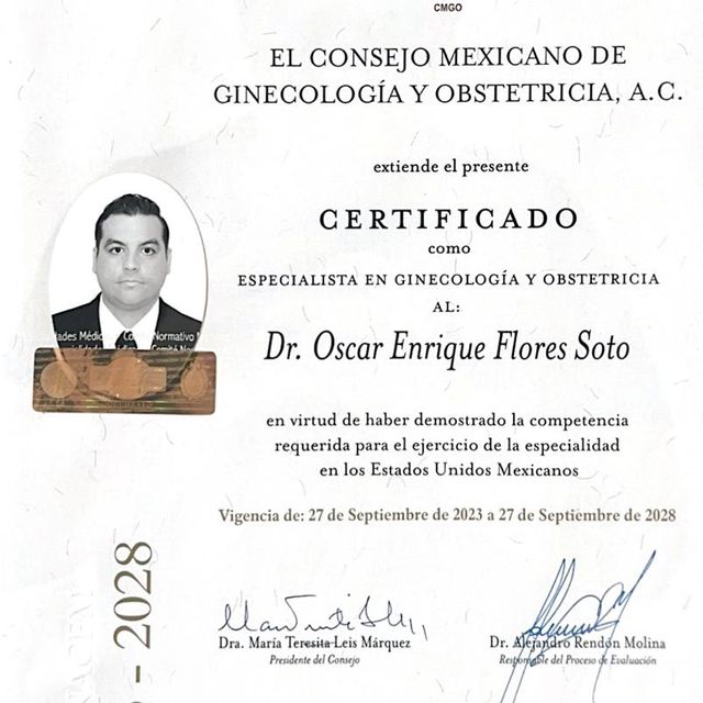 Ampliar imagen: certificate 4