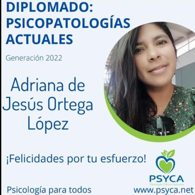 Ampliar imagen: certificate 4