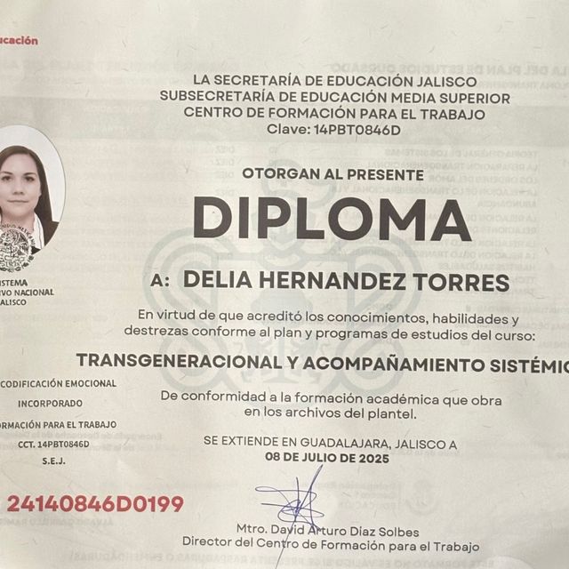 Ampliar imagen: certificate 2