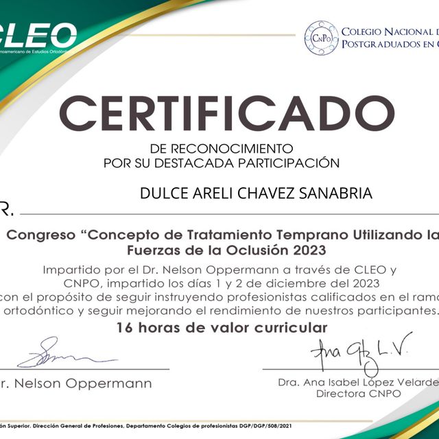 Ampliar imagen: certificate 3