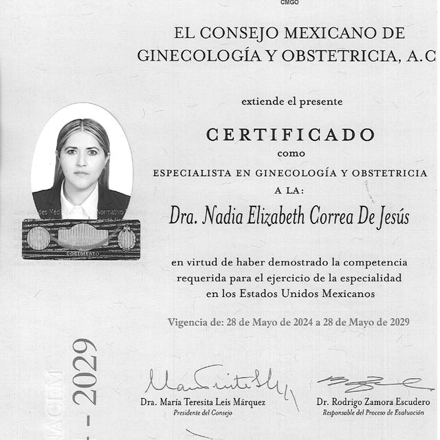 Ampliar imagen: certificate 1