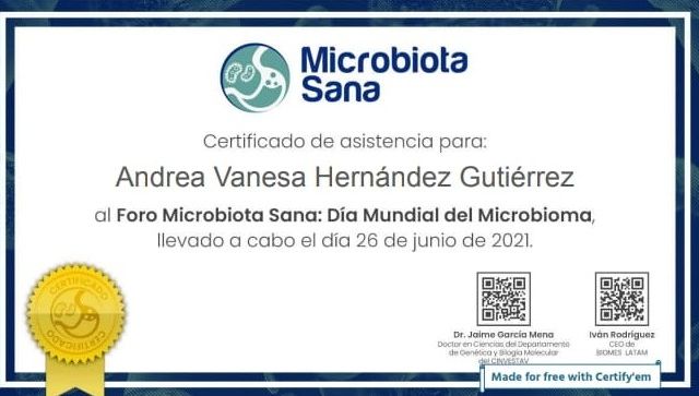 Ampliar imagen: certificate 2