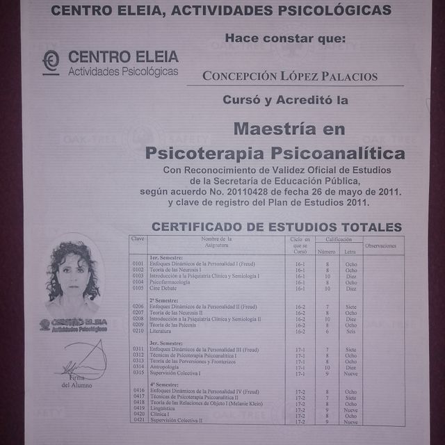 Ampliar imagen: certificate 3