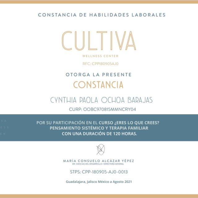 Ampliar imagen: certificate 7