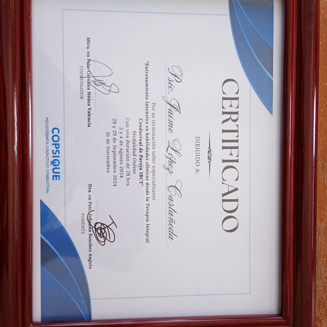 Ampliar imagen: certificate 5