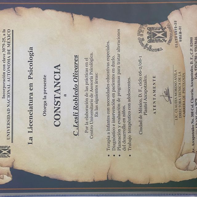 Ampliar imagen: certificate 17