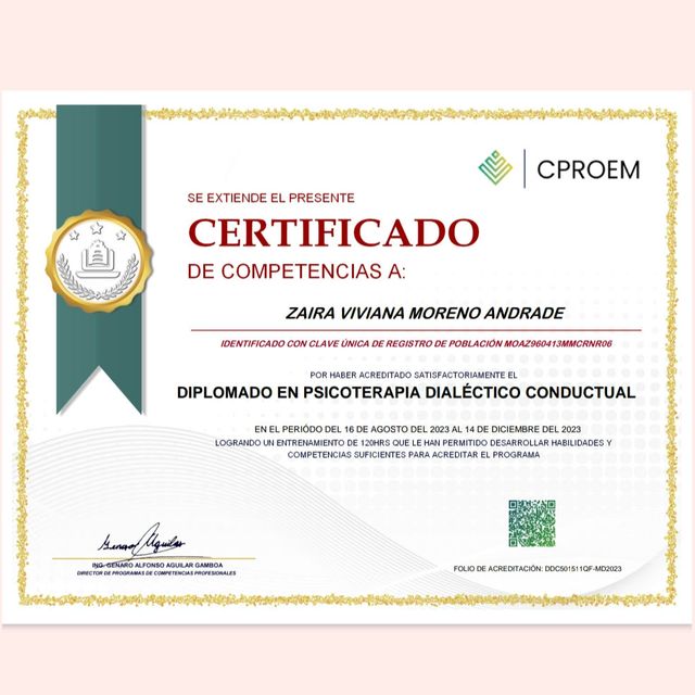 Ampliar imagen: certificate 2