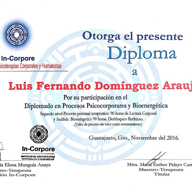 Ampliar imagen: certificate 5