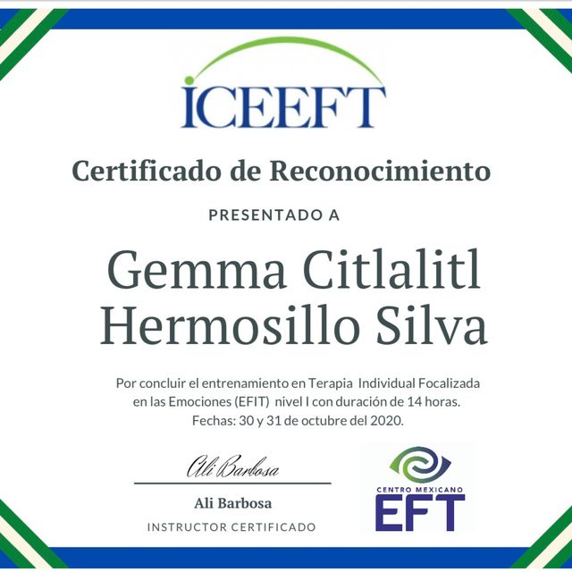 Ampliar imagen: certificate 5