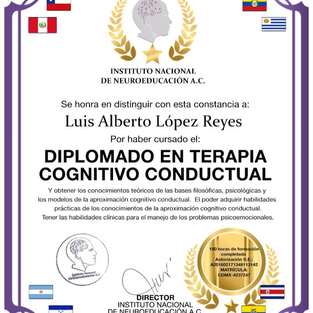 Ampliar imagen: certificate 1