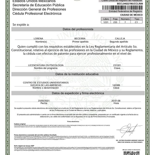 Ampliar imagen: certificate 3