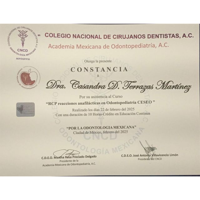 Ampliar imagen: certificate 11