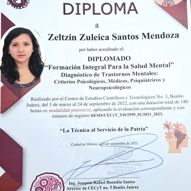 Ampliar imagen: certificate 5