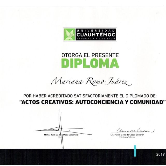 Ampliar imagen: certificate 4
