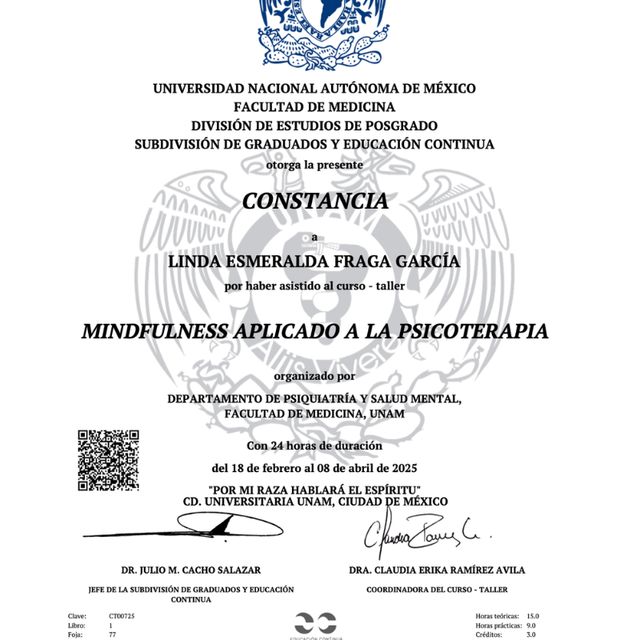 Ampliar imagen: certificate 1