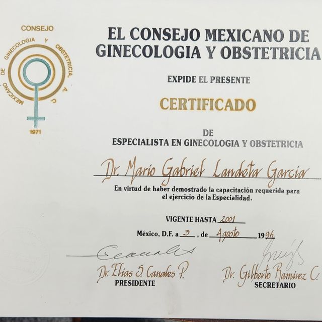 Ampliar imagen: certificate 23