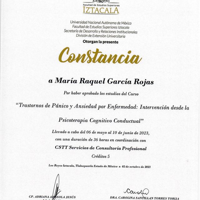 Ampliar imagen: certificate 2