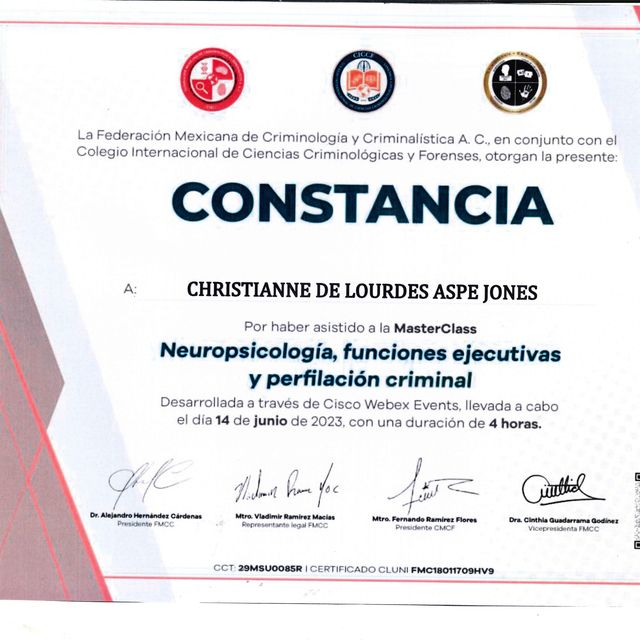 Ampliar imagen: certificate 17