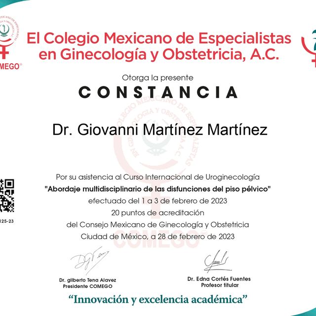 Ampliar imagen: certificate 5
