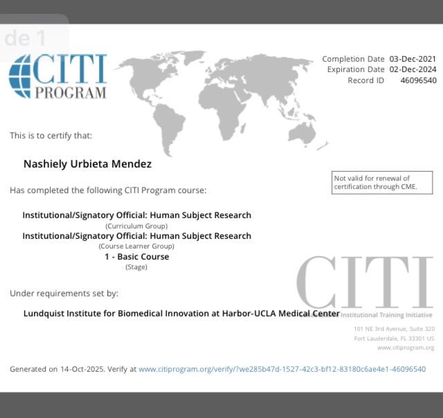 Ampliar imagen: certificate 2