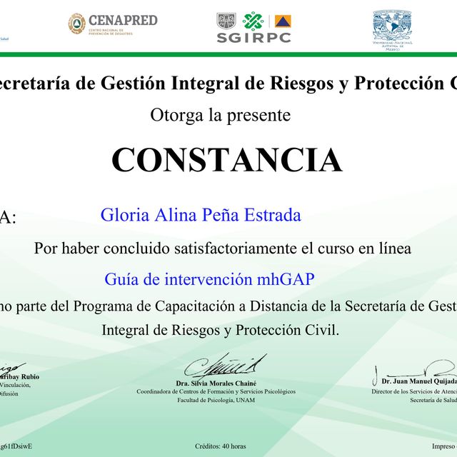 Ampliar imagen: certificate 25