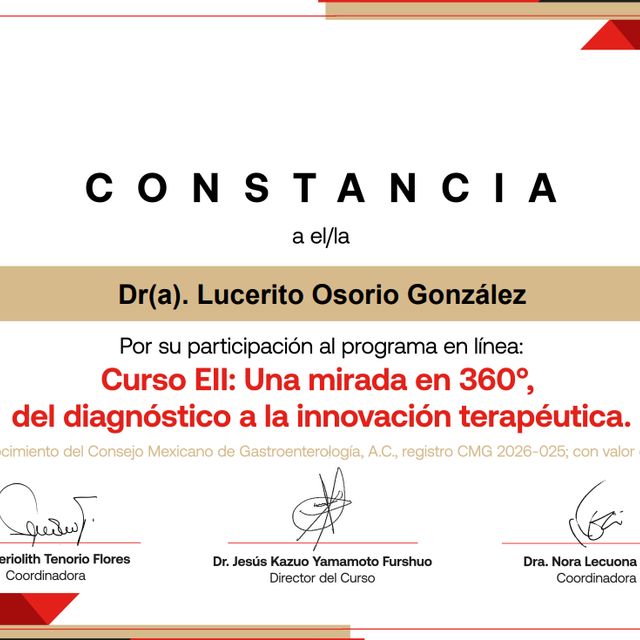 Ampliar imagen: certificate 33