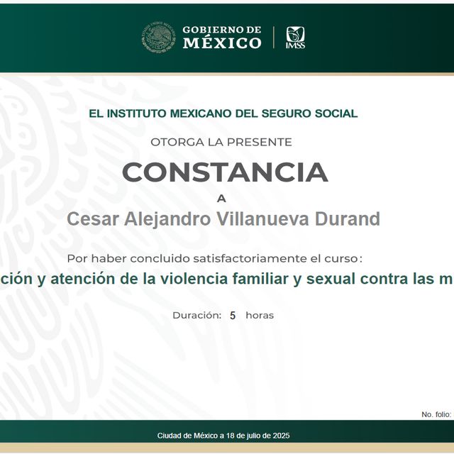 Ampliar imagen: certificate 3