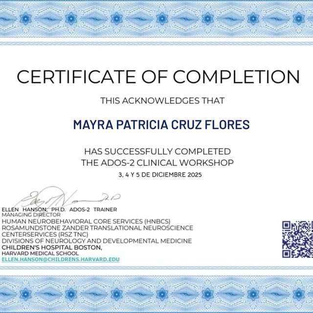 Ampliar imagen: certificate 6