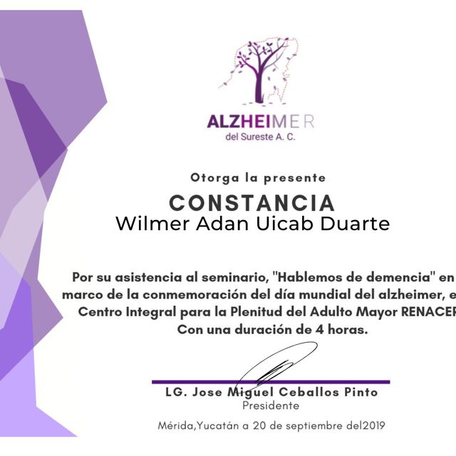 Ampliar imagen: certificate 2