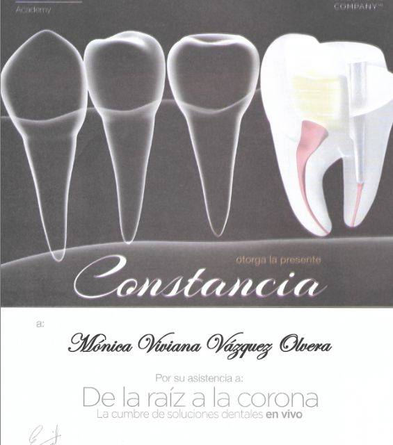 Ampliar imagen: certificate 4