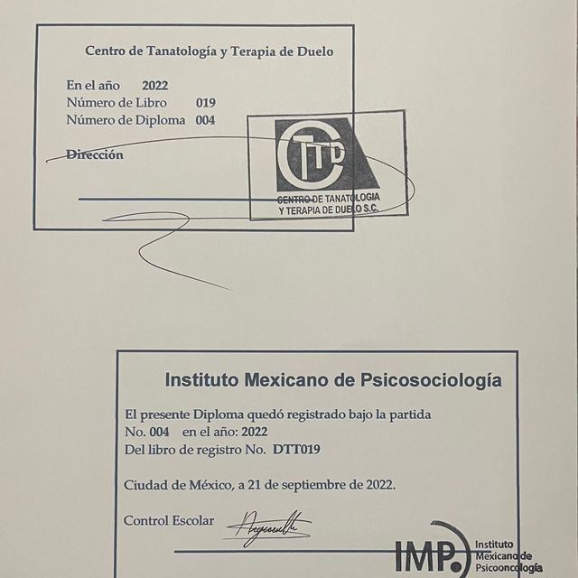 Ampliar imagen: certificate 2